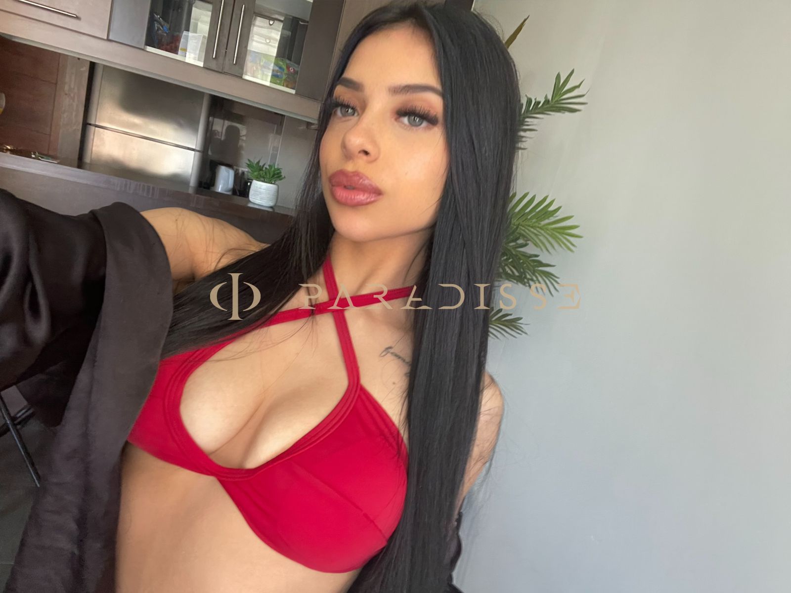 Escorts VIP Paradisse - Lys